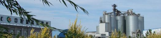 内蒙古中恒蒙福苑建材有限责任公司